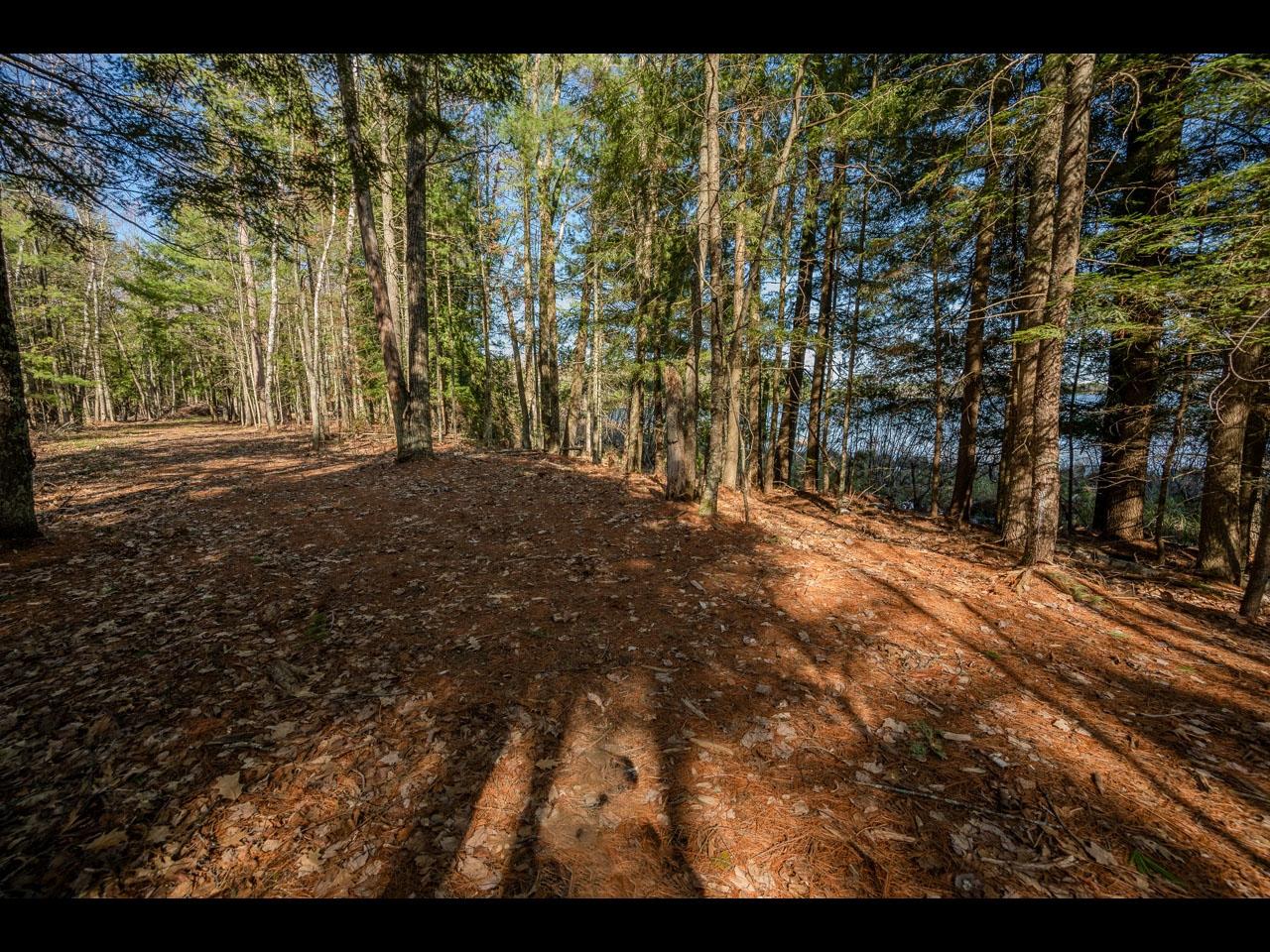 Clearwater Lake Property Lot 17 Memory Ln Photo 5