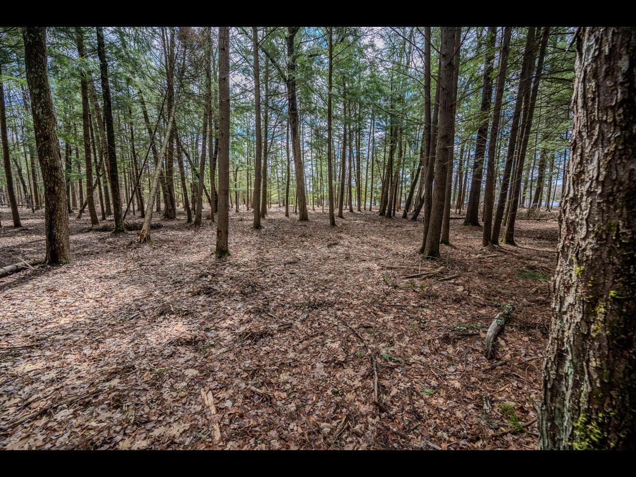 Clearwater Lake Property Lot 21 Bonita Pt Photo 3