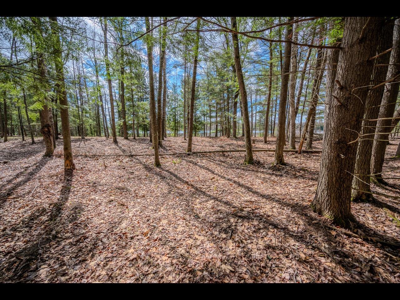 Clearwater Lake Property Lot 21 Bonita Pt Photo 4