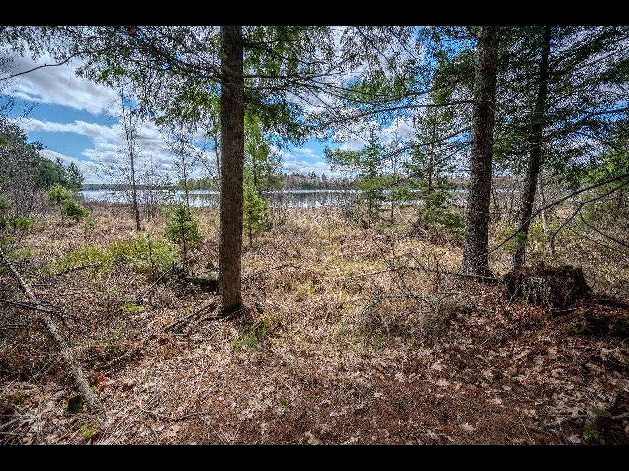 Clearwater Lake Property Lot 21 Bonita Pt Photo 6