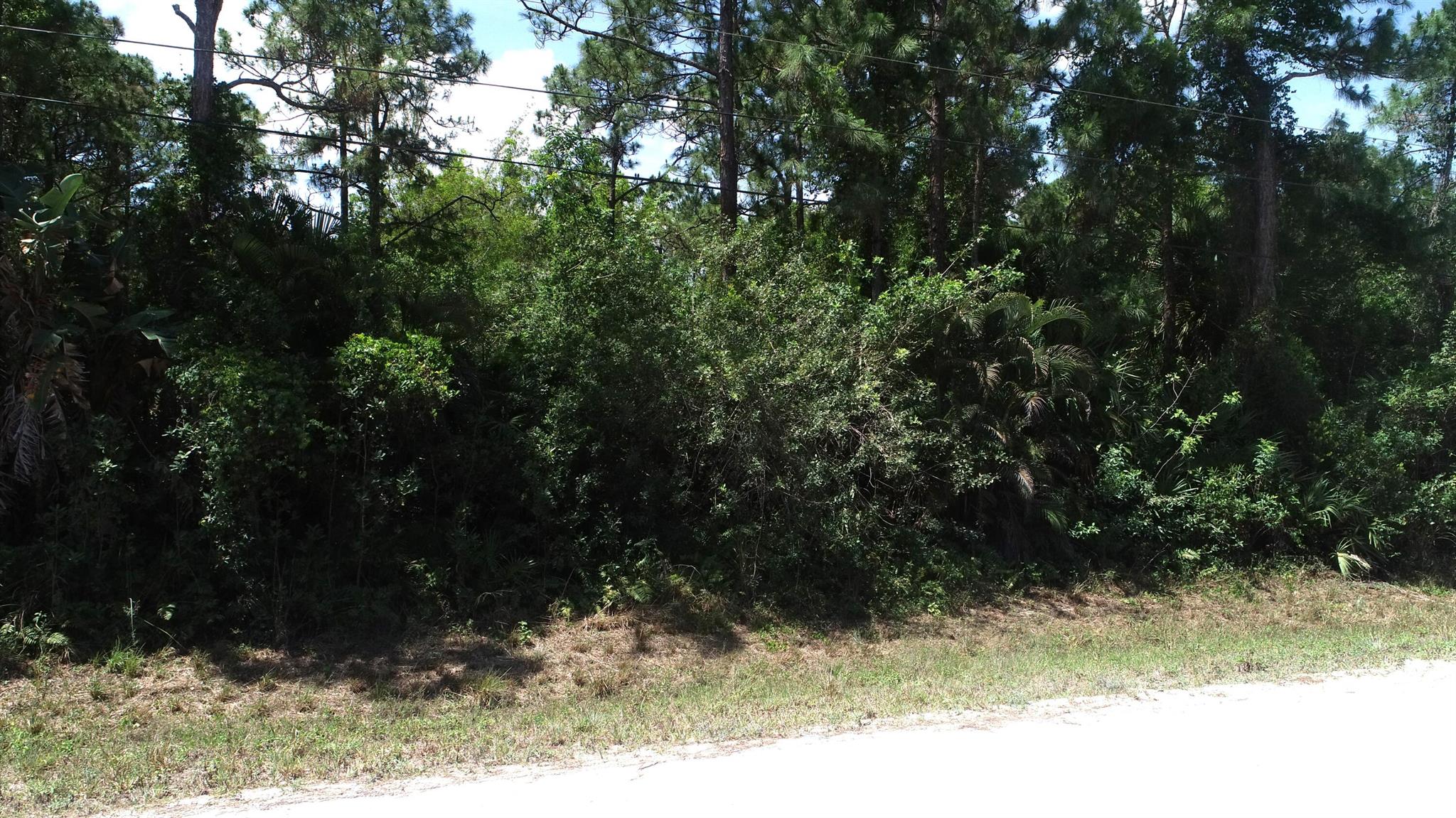 Homes for sale in The Acreage, FL | Lot 69 77 Lane, The Acreage, FL 33470 | MLS# R11088735