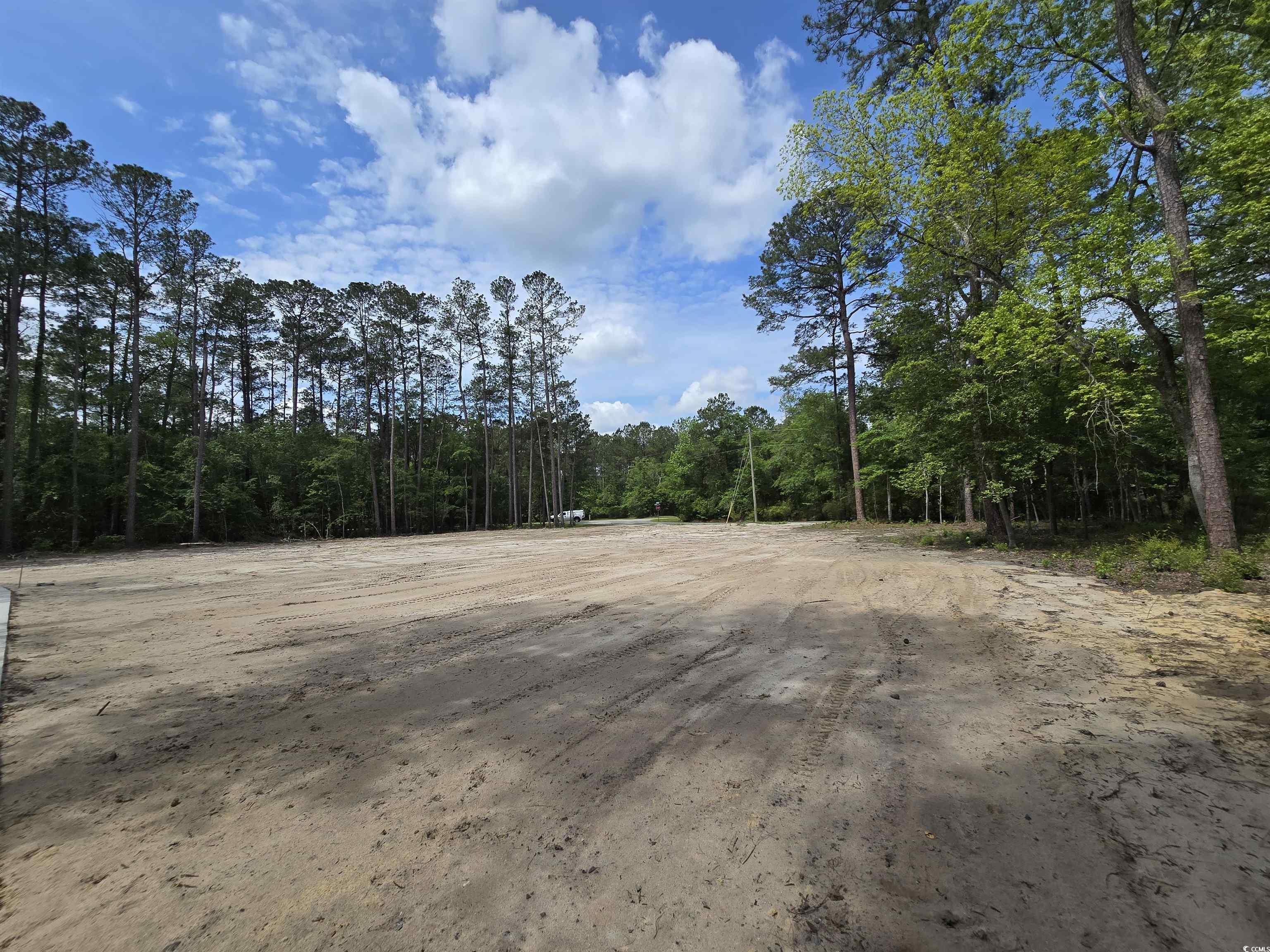 Lot 18 Cypress Knee Ct. Conway, SC 29526