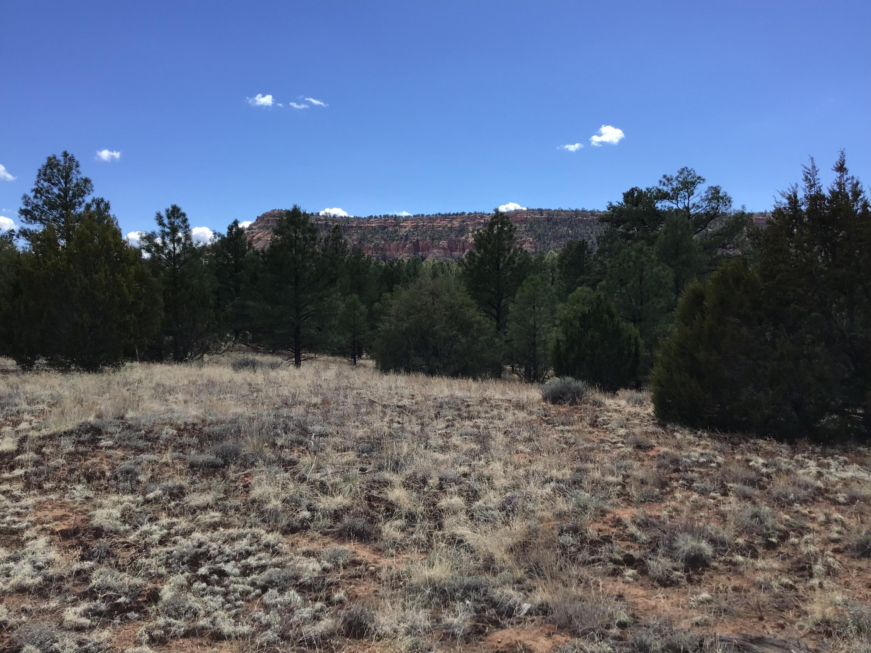 Homes for sale in Ramah, NM | Lot 28 Monte Vista Ln, Ramah, NM 87321 | MLS# 1083586