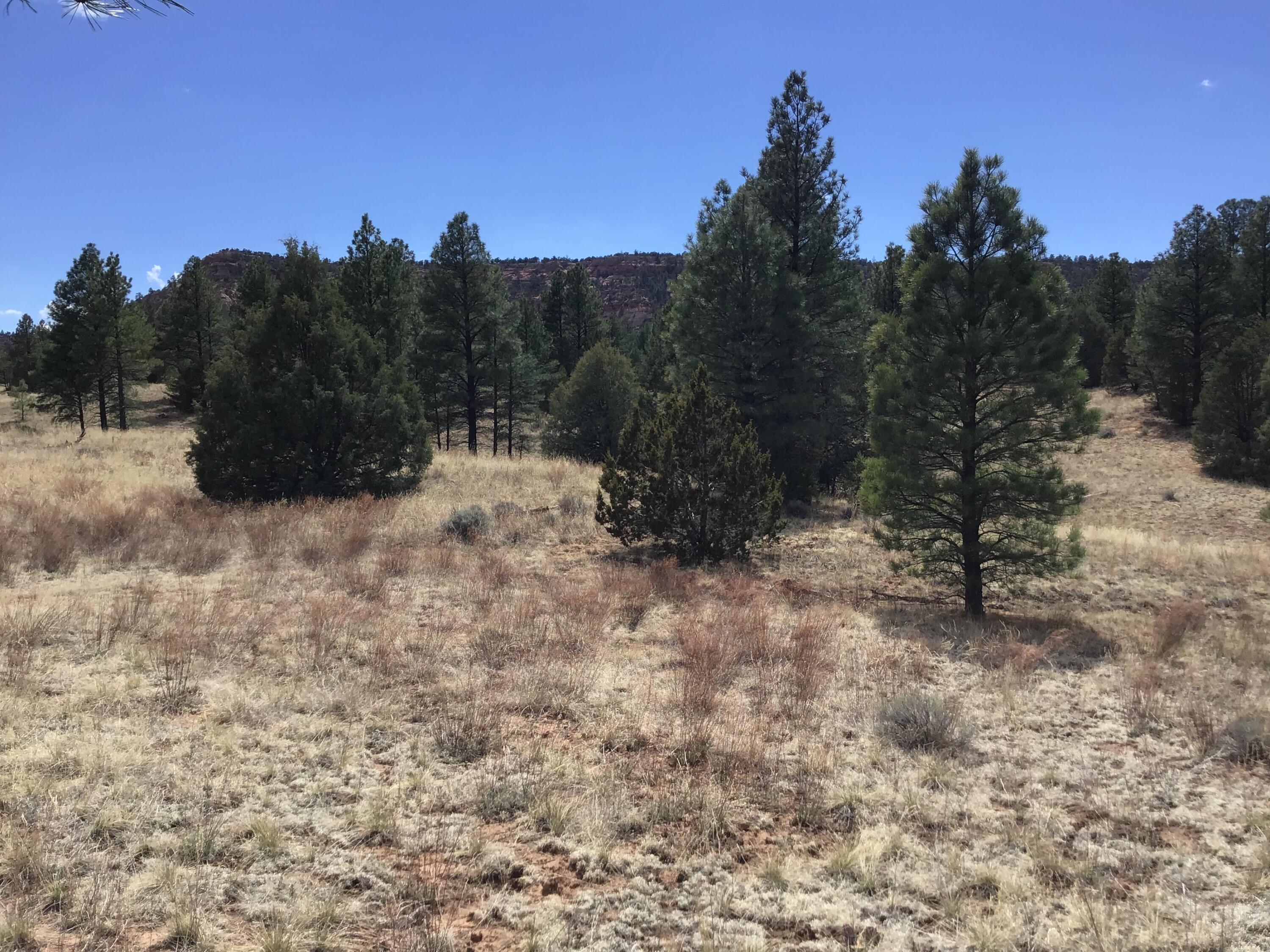 Homes for sale in Ramah, NM | Lot 28 Monte Vista Ln, Ramah, NM 87321 | MLS# 1083586