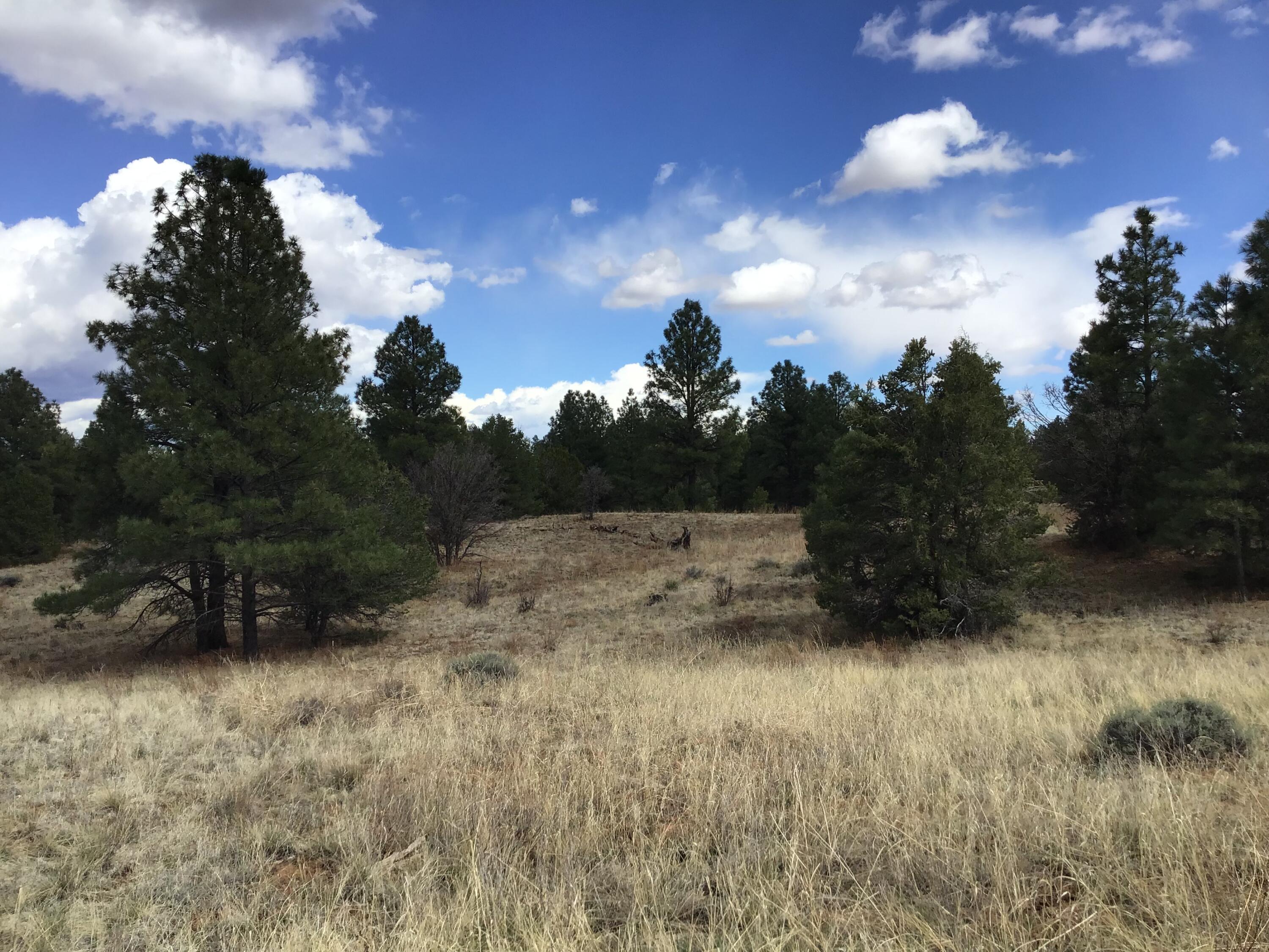 Homes for sale in Ramah, NM | Lot 28 Monte Vista Ln, Ramah, NM 87321 | MLS# 1083586