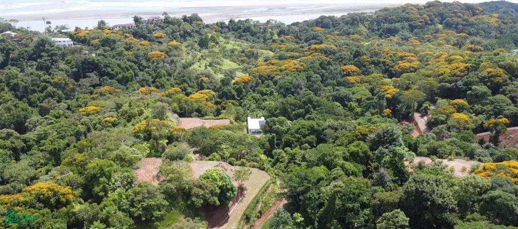 0 bed Land For Sale in Osa, Puntarenas - 1