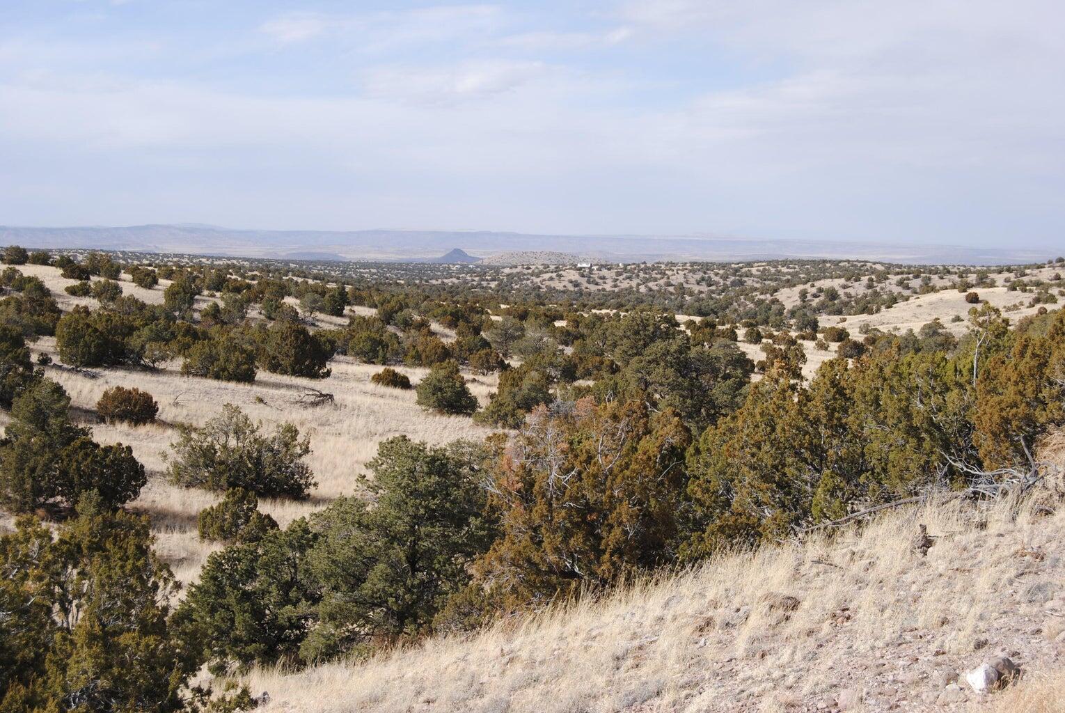 Homes for sale in Magdalena, NM | Lot 57 Pinon Springs, Magdalena, NM 87825 | MLS# 1083759