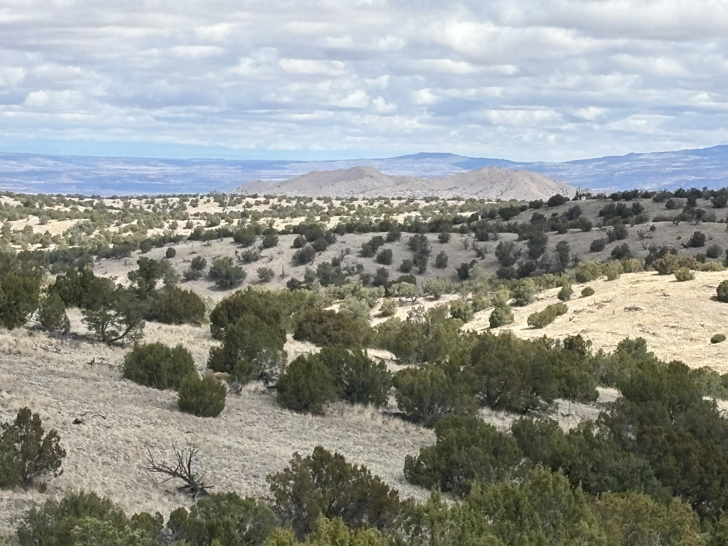 Homes for sale in Magdalena, NM | Lot 57 Pinon Springs, Magdalena, NM 87825 | MLS# 1083759