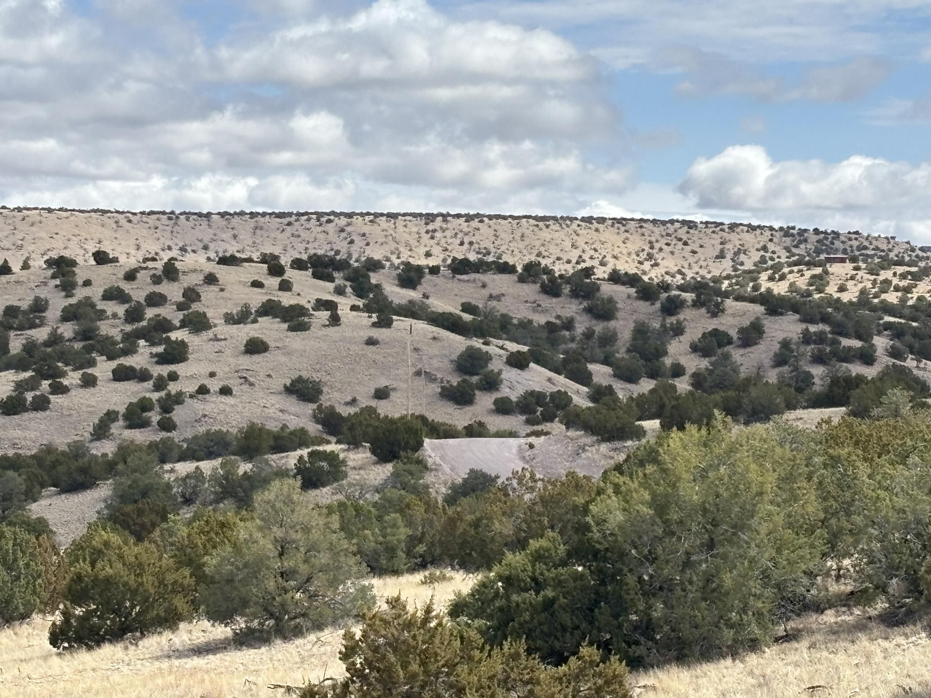 Homes for sale in Magdalena, NM | Lot 57 Pinon Springs, Magdalena, NM 87825 | MLS# 1083759