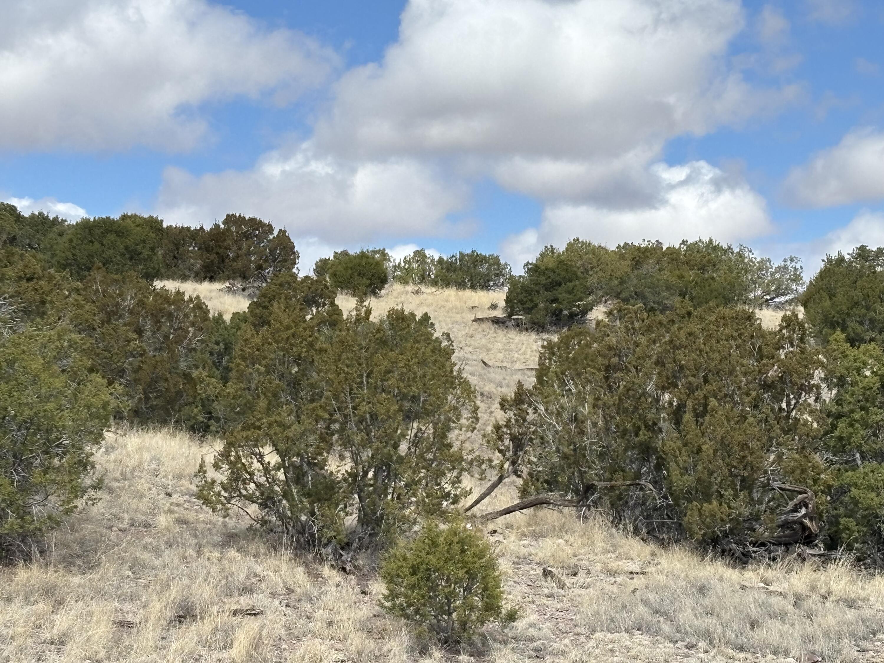 Homes for sale in Magdalena, NM | Lot 57 Pinon Springs, Magdalena, NM 87825 | MLS# 1083759
