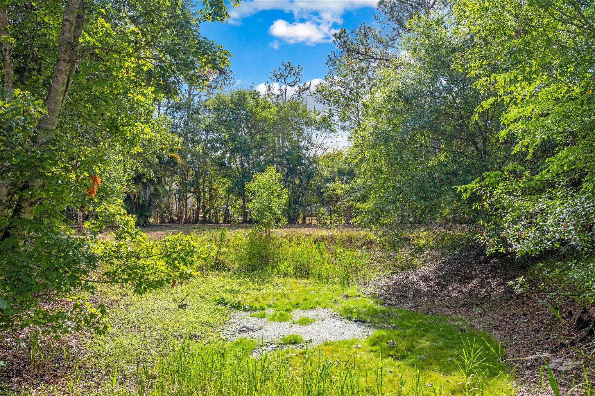 12389 186th Street N