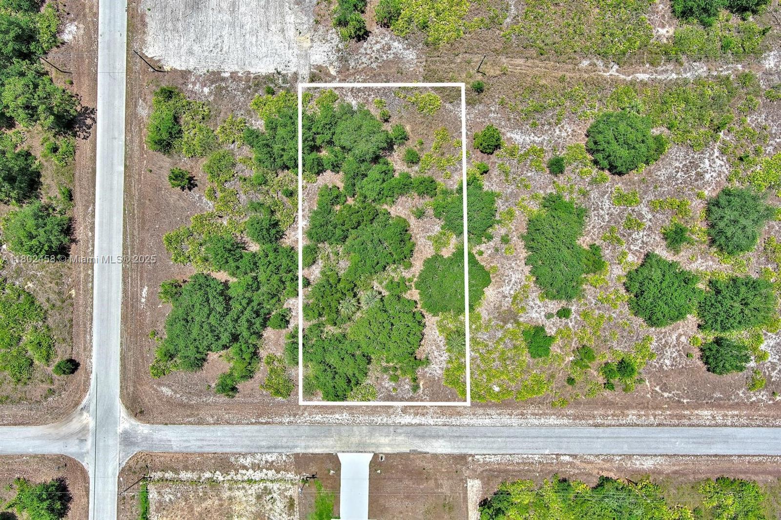 Lehigh Acres