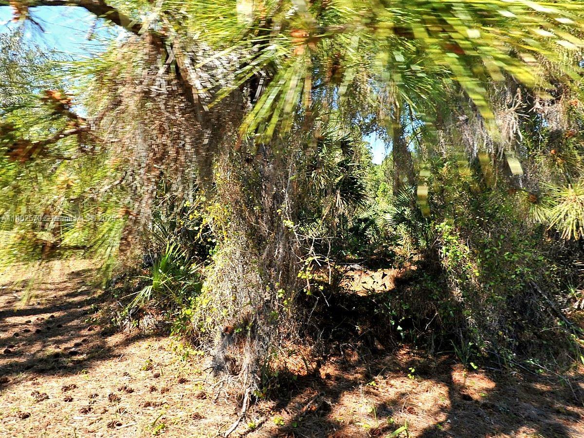 Homes for sale in Vero Beach, FL | 4601 Fergus St, Vero Beach, FL 34288 | MLS# A11802570