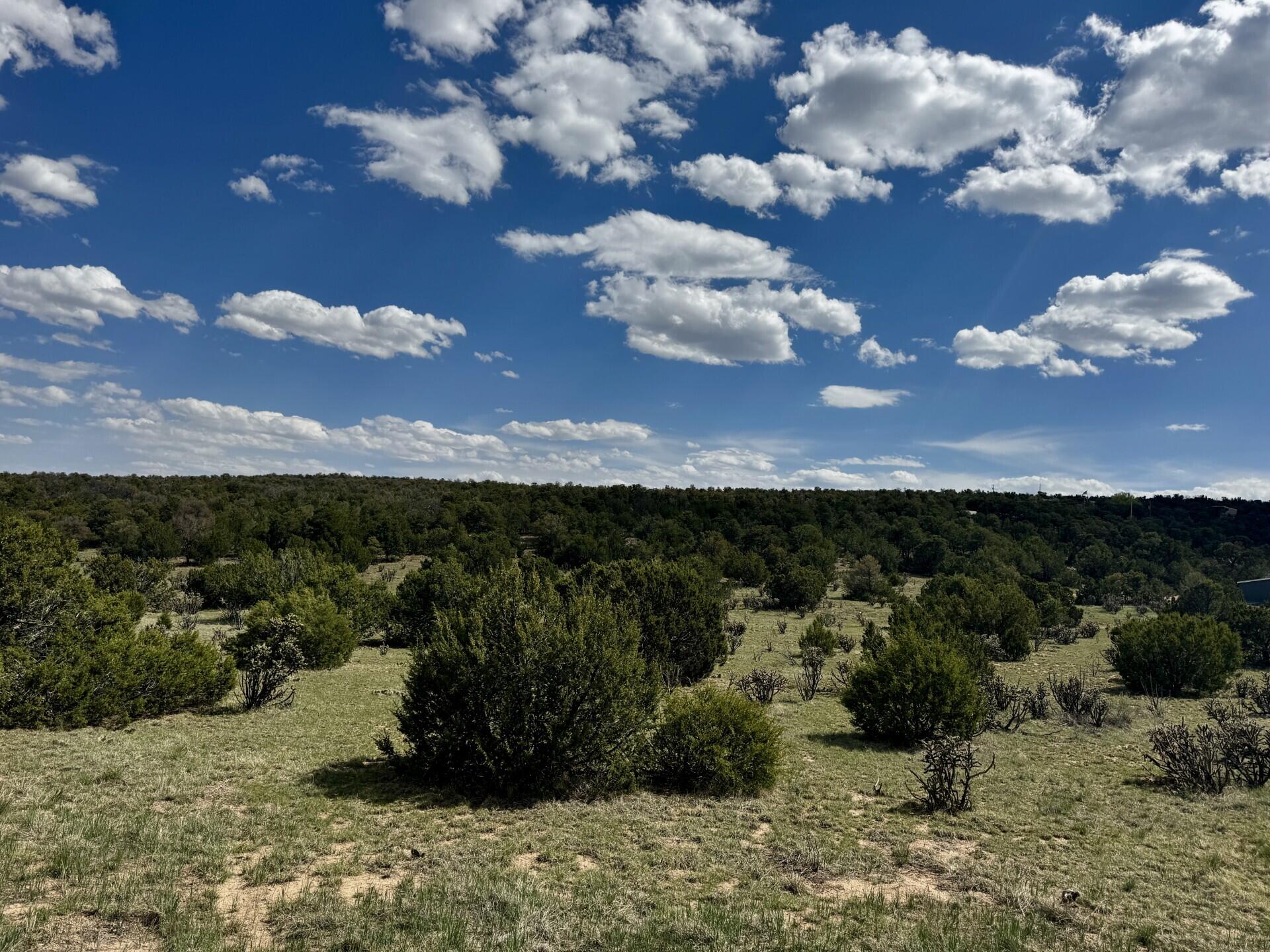 Homes for sale in Edgewood, NM | 226 Nugent Rd, Edgewood, NM 87015 | MLS# 1083880