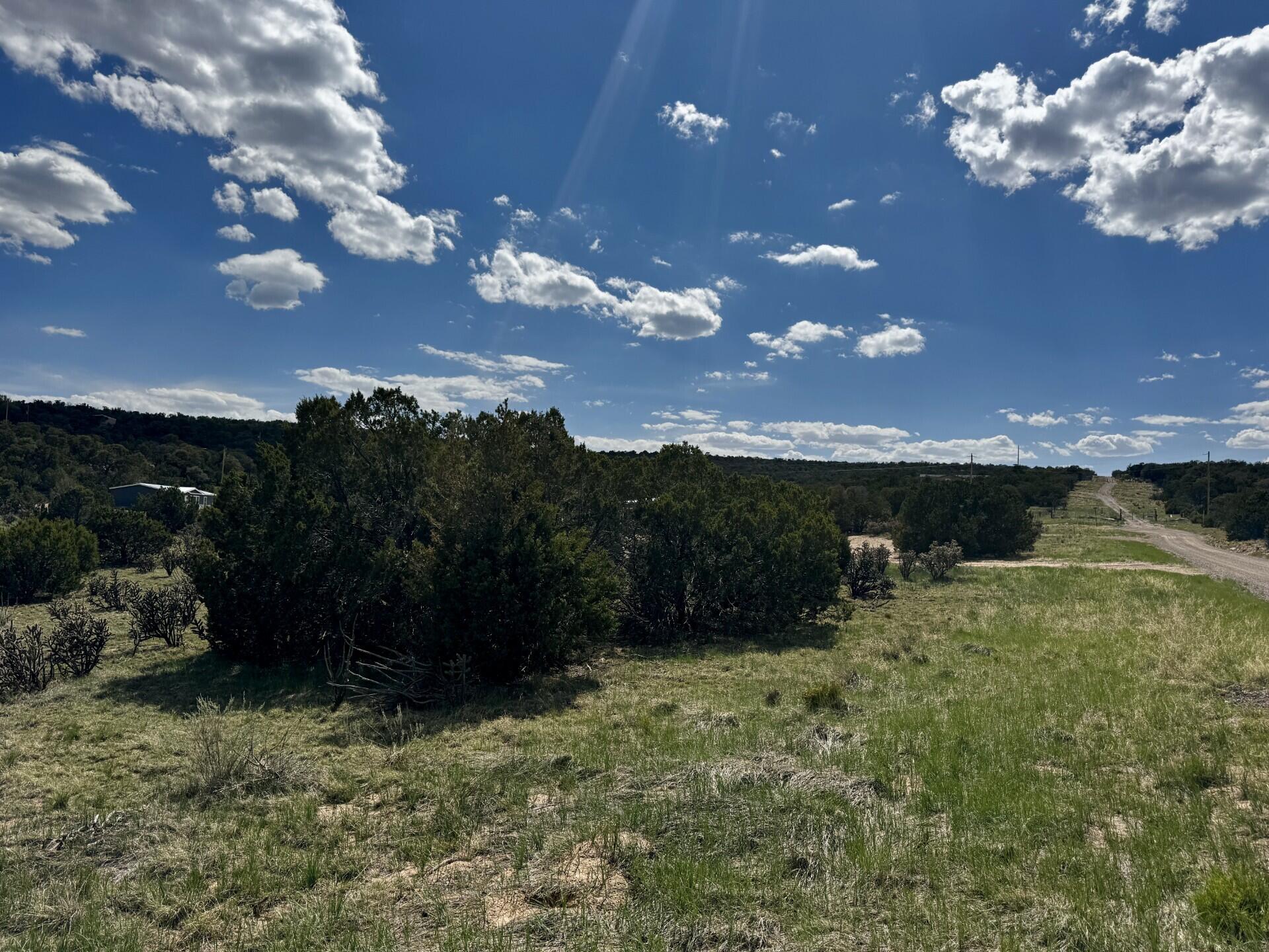 Homes for sale in Edgewood, NM | 226 Nugent Rd, Edgewood, NM 87015 | MLS# 1083880