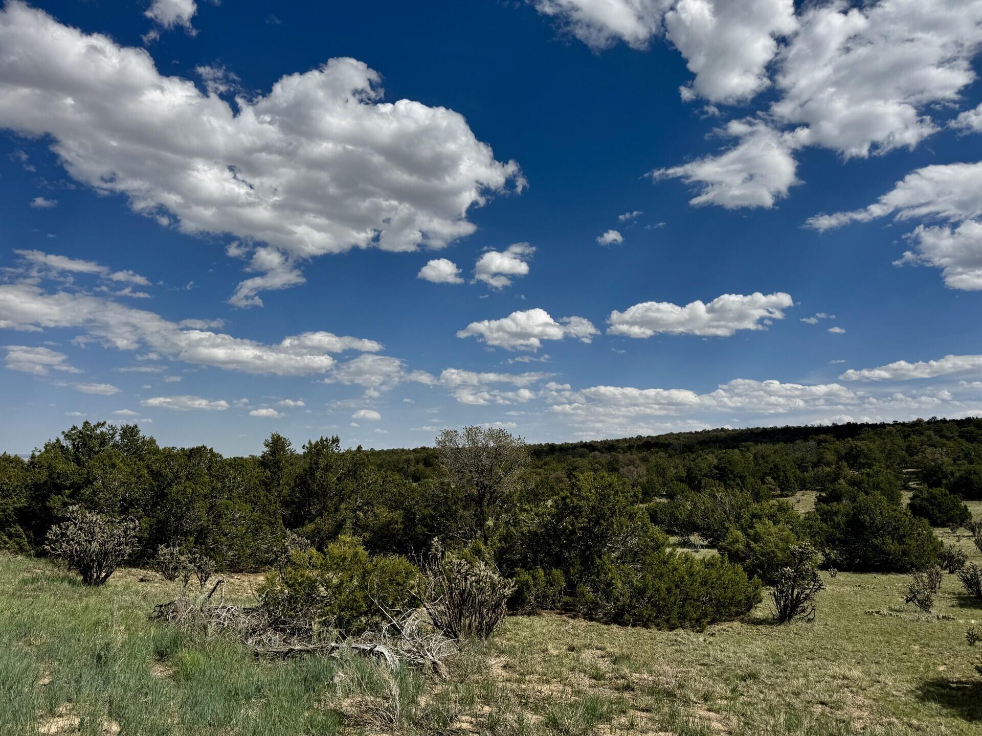 Homes for sale in Edgewood, NM | 226 Nugent Rd, Edgewood, NM 87015 | MLS# 1083880