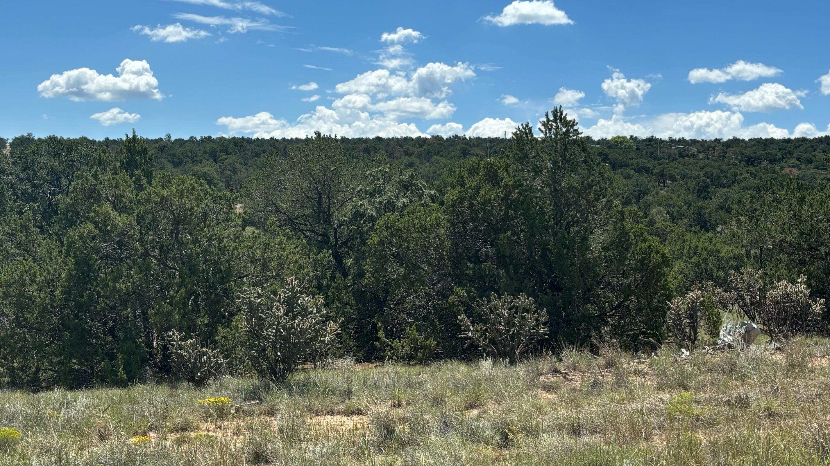 Homes for sale in Edgewood, NM | 226 Nugent Rd, Edgewood, NM 87015 | MLS# 1083880