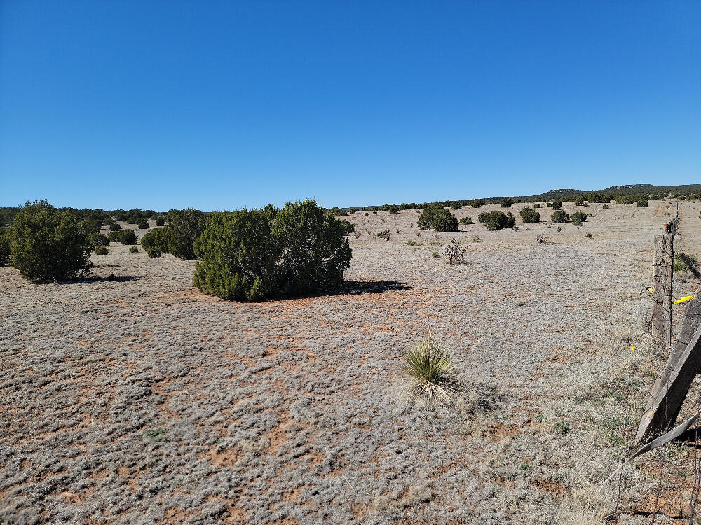 Homes for sale in Estancia, NM | 70 Quiet Valley Dr, Estancia, NM 87016 | MLS# 1083932