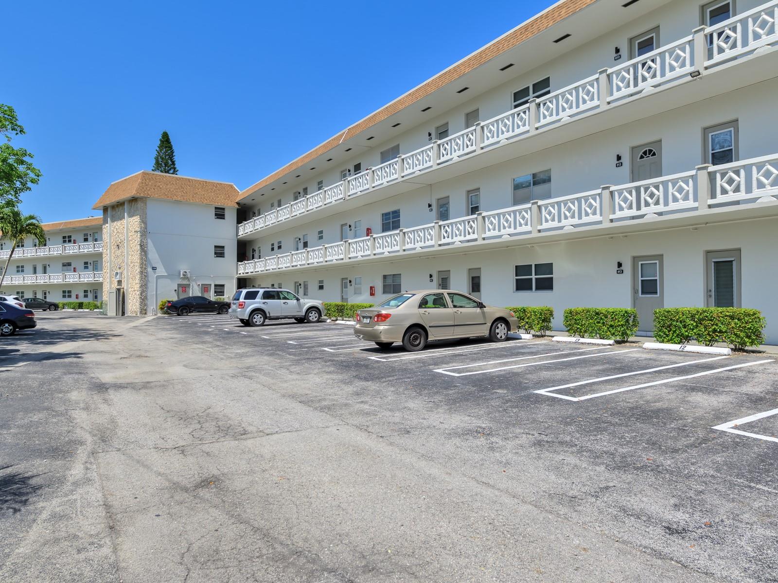 Hawaiian Garden Marigold