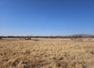 Homes for sale in San Antonio, NM | San Pedro Ranch, San Antonio, NM 87832 | MLS# 1083979