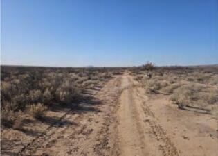 Homes for sale in San Antonio, NM | San Pedro Ranch, San Antonio, NM 87832 | MLS# 1083979