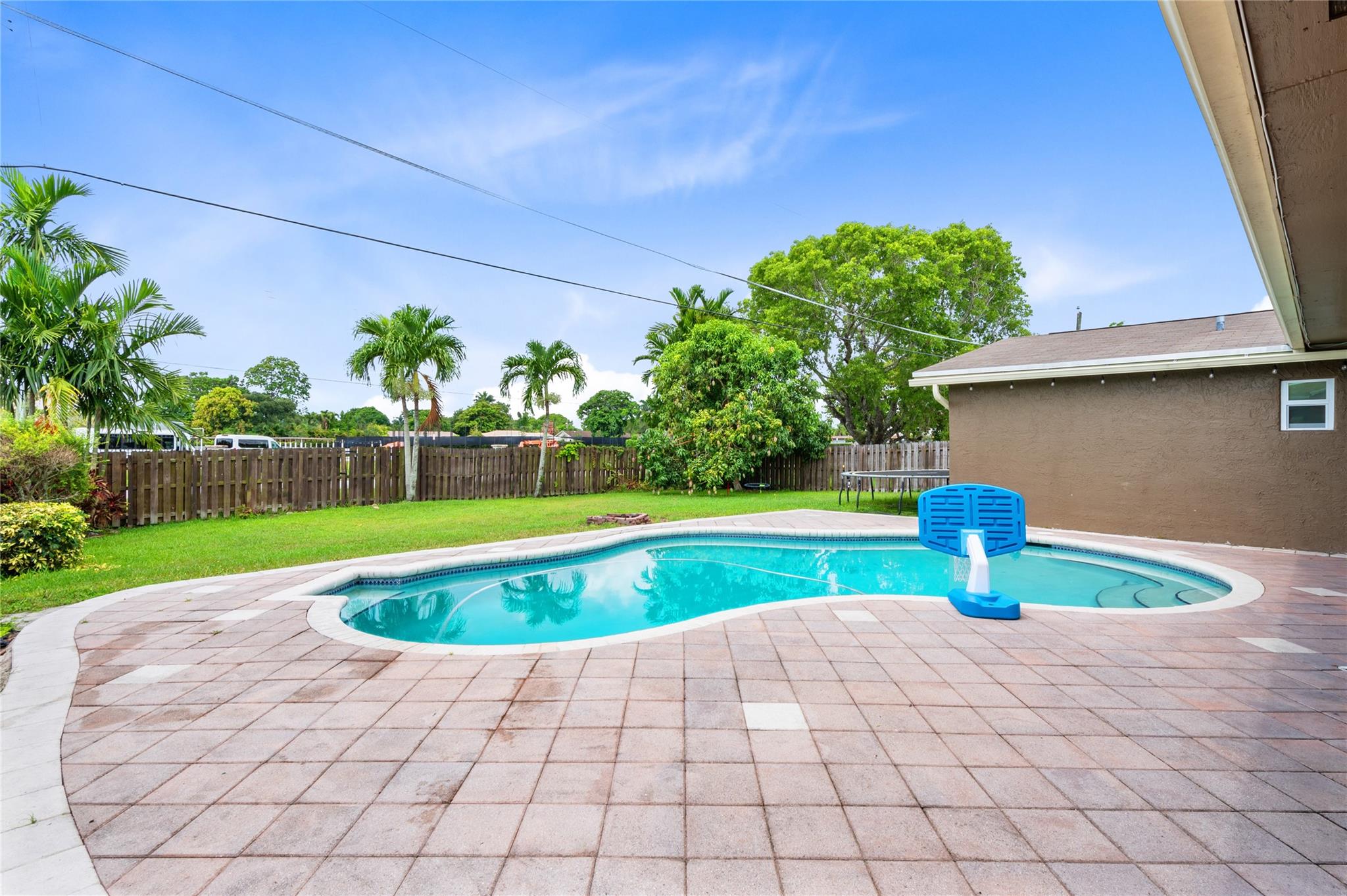 Patio and back yard including a mango tree & trampoline