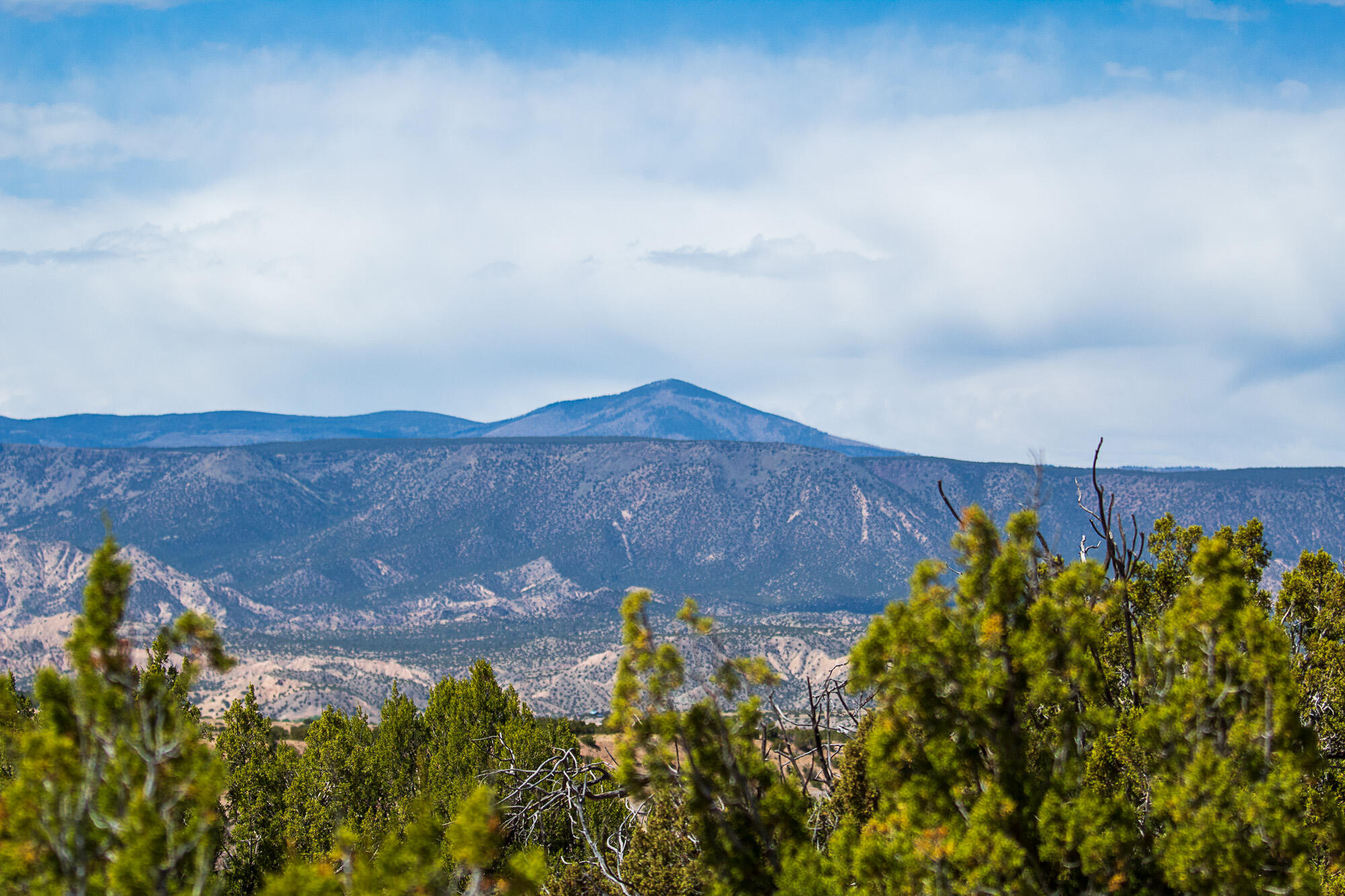 Homes for sale in Abiquiu, NM | 00 El Rito Estates, Abiquiu, NM 87510 | MLS# 1084110