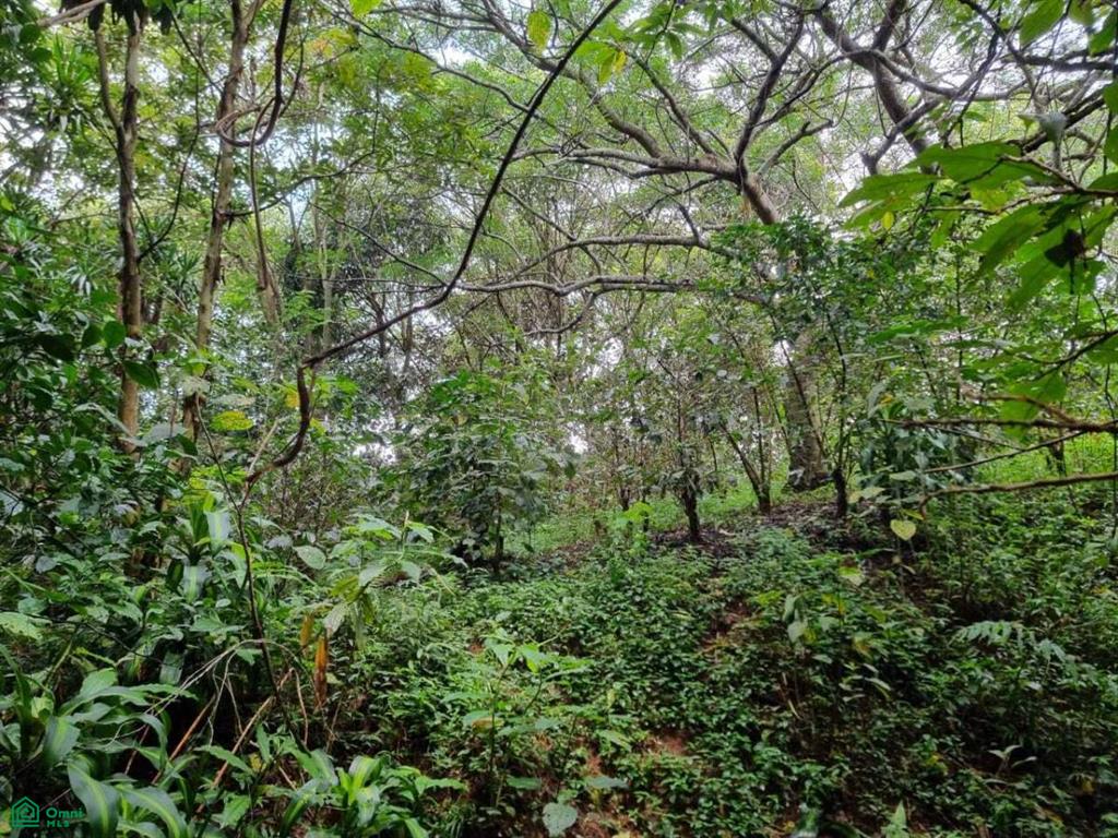 0 bed Land For Sale in Valverde Vega, Alajuela - 1