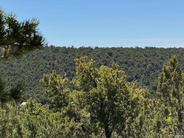Homes for sale in Tijeras, NM | 30 Rancho Verde Rd, Tijeras, NM 87059 | MLS# 1084124