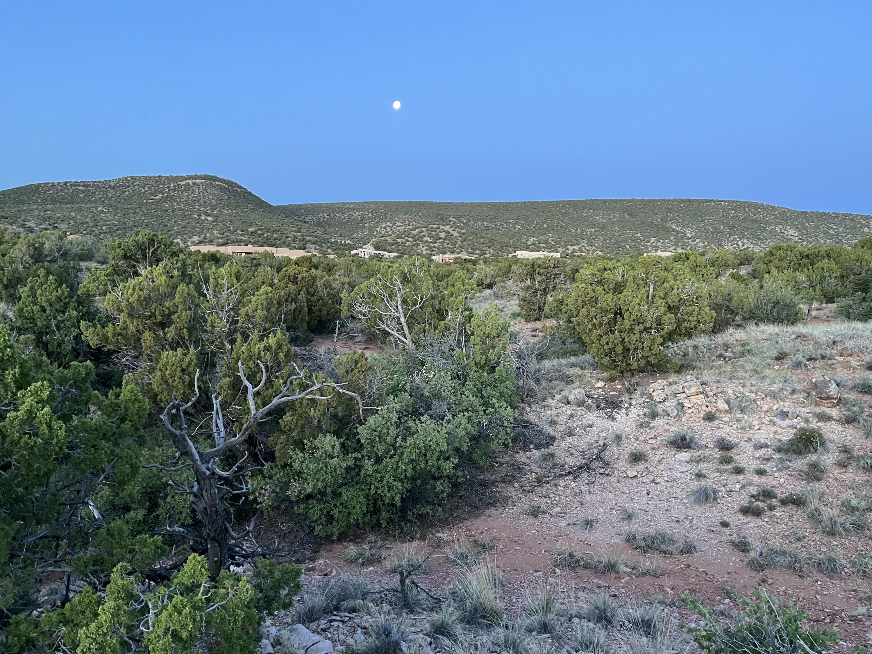 Homes for sale in Placitas, NM | 101 Wild Primrose Rd, Placitas, NM 87043 | MLS# 1084169