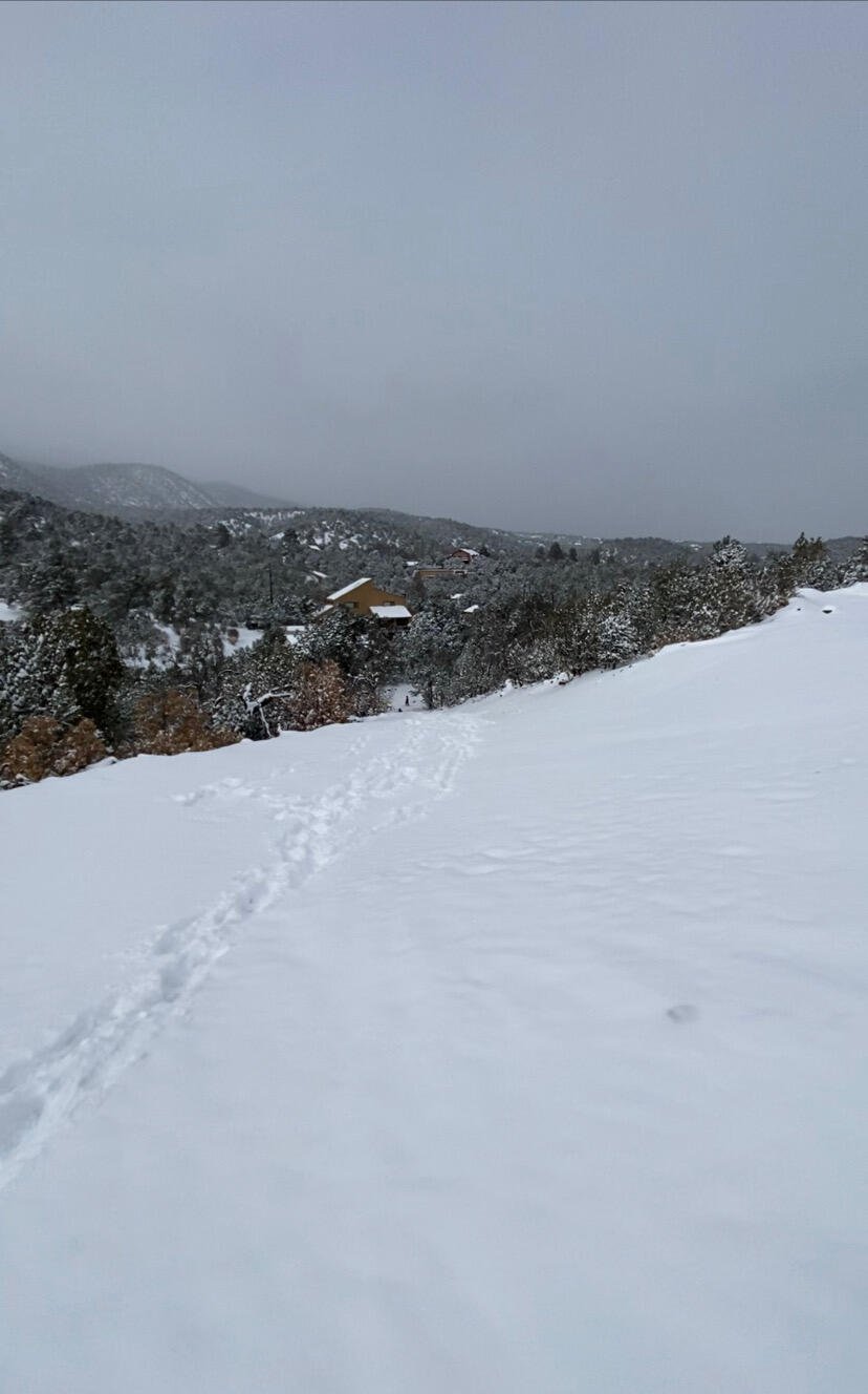 Homes for sale in Cedar Crest, NM | 13 Vista Grande, Cedar Crest, NM 87008 | MLS# 1084195