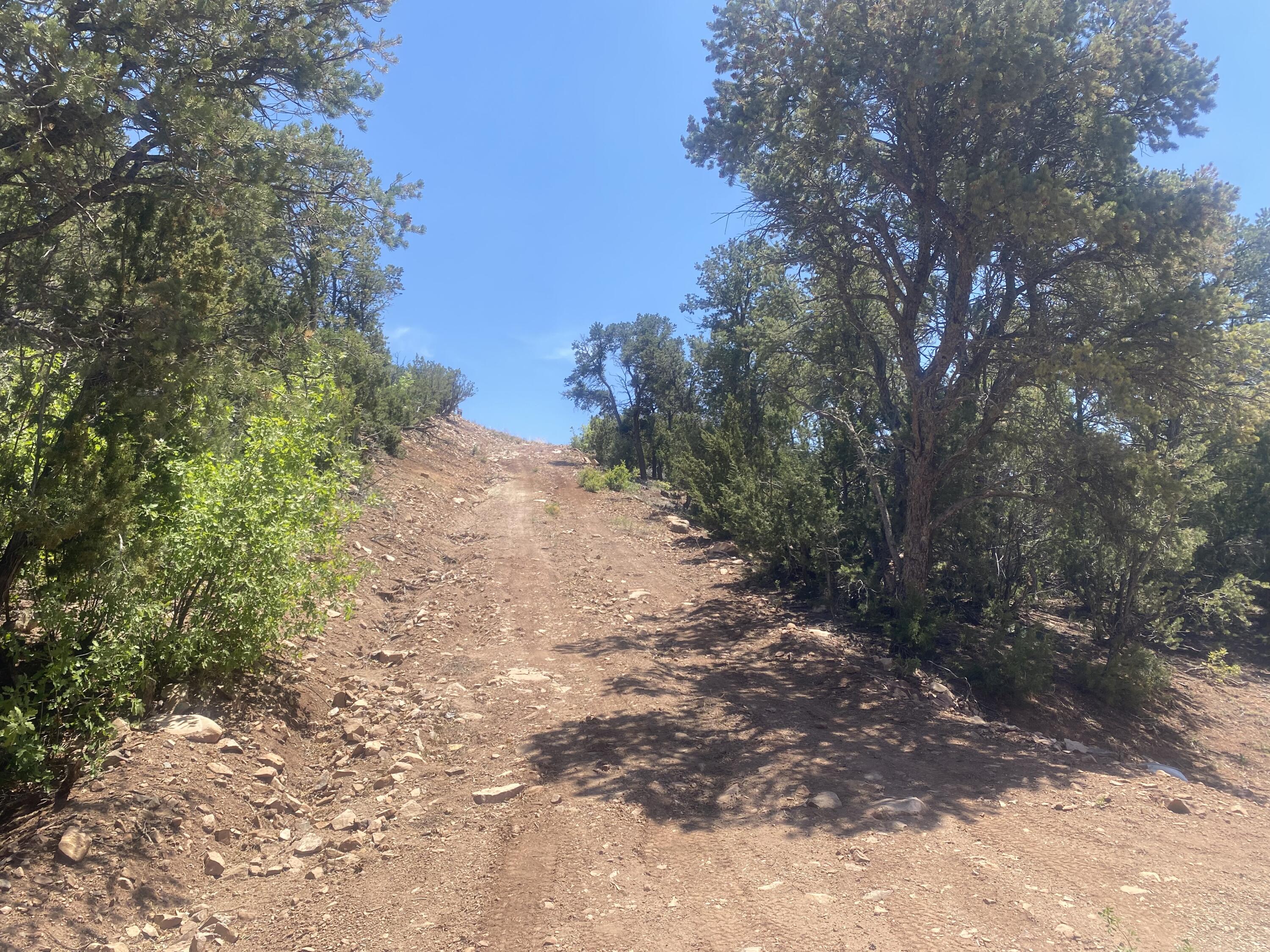 Homes for sale in Cedar Crest, NM | 13 Vista Grande, Cedar Crest, NM 87008 | MLS# 1084195