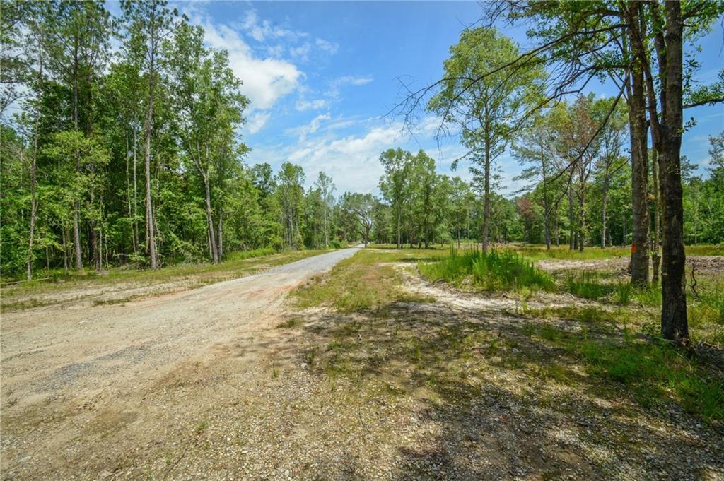 Homes for sale in Loranger, LA | 50278 (lot 6) Allen Dr, Loranger, LA 70446 | MLS# 2502181
