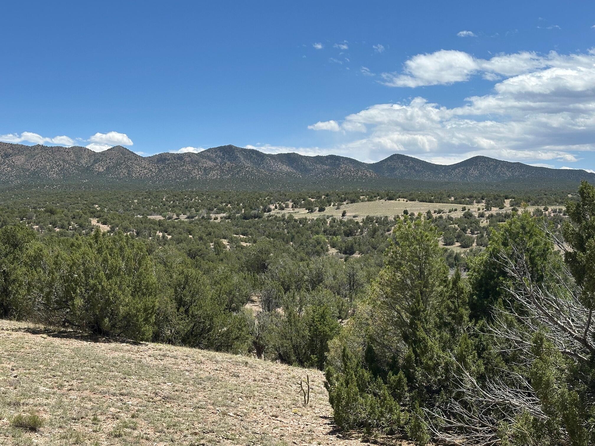 Homes for sale in Sandia Park, NM | 6 Anasazi Trl, Sandia Park, NM 87047 | MLS# 1084278