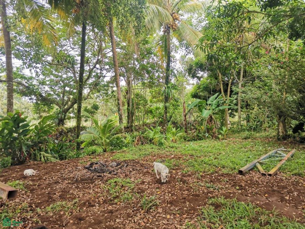4 bed Single Family Homes For Sale in San Carlos, Alajuela - 1