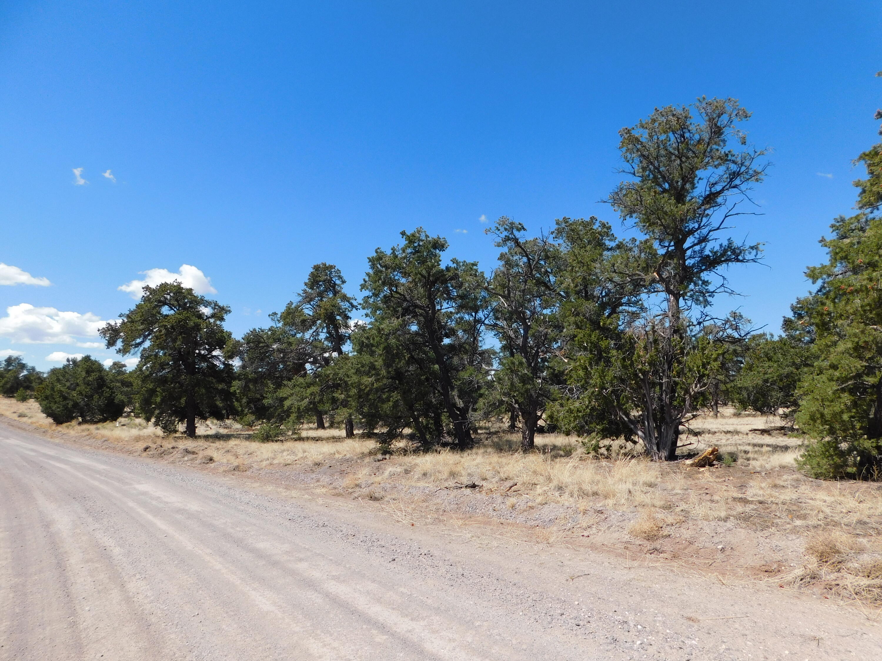 Homes for sale in Quemado, NM | 15 River Ln, Quemado, NM 87829 | MLS# 1084294