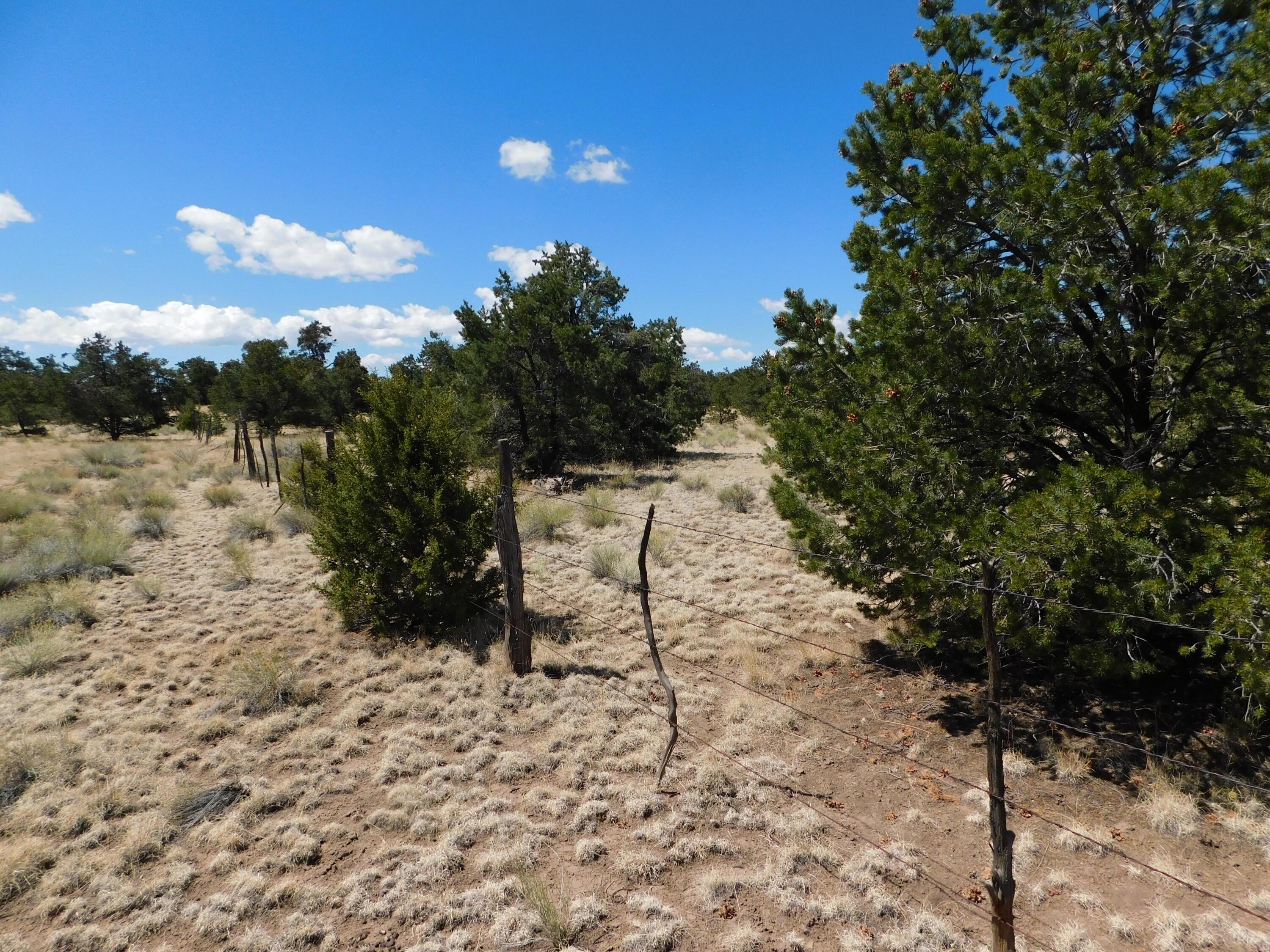 Homes for sale in Quemado, NM | 15 River Ln, Quemado, NM 87829 | MLS# 1084294