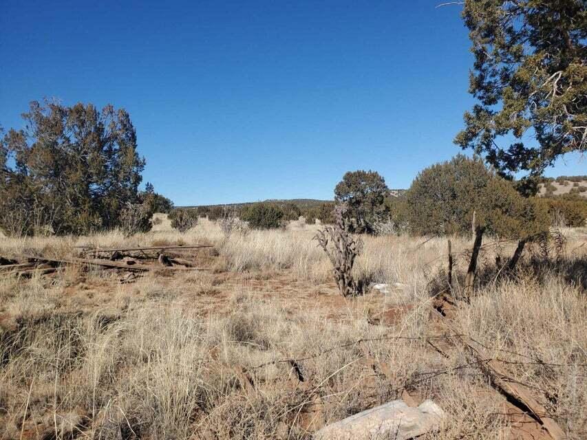 Homes for sale in Mountainair, NM | Old Abo Trail, Mountainair, NM 87036 | MLS# 1084312