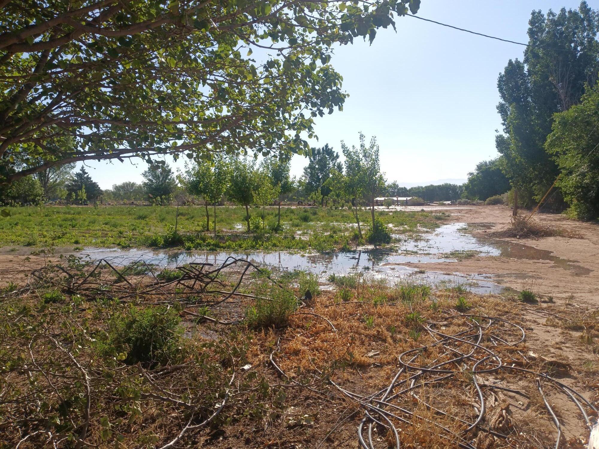Homes for sale in Belen, NM | 52 Ladera Rd, Belen, NM 87002 | MLS# 1084404