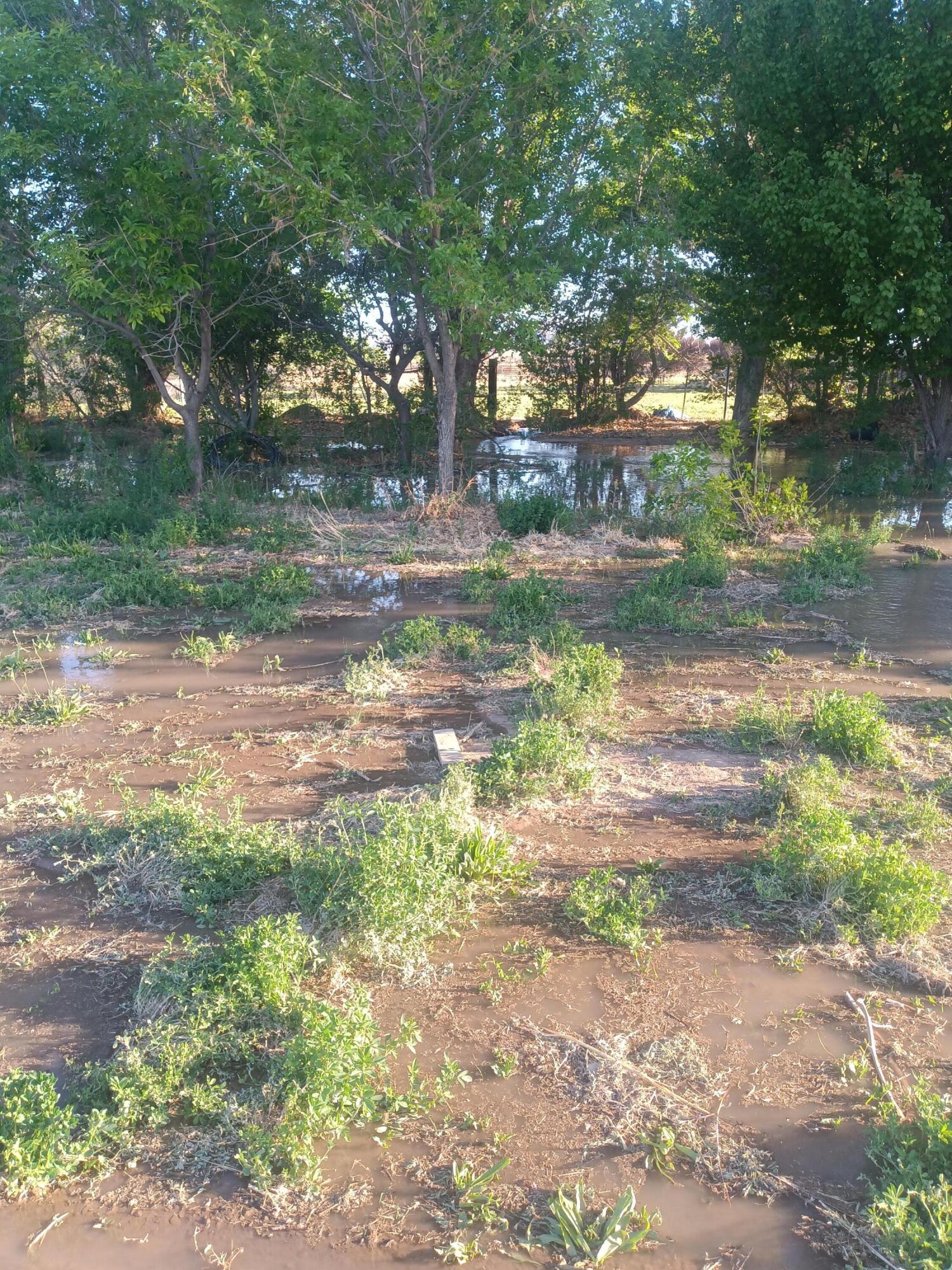 Homes for sale in Belen, NM | 52 Ladera Rd, Belen, NM 87002 | MLS# 1084404