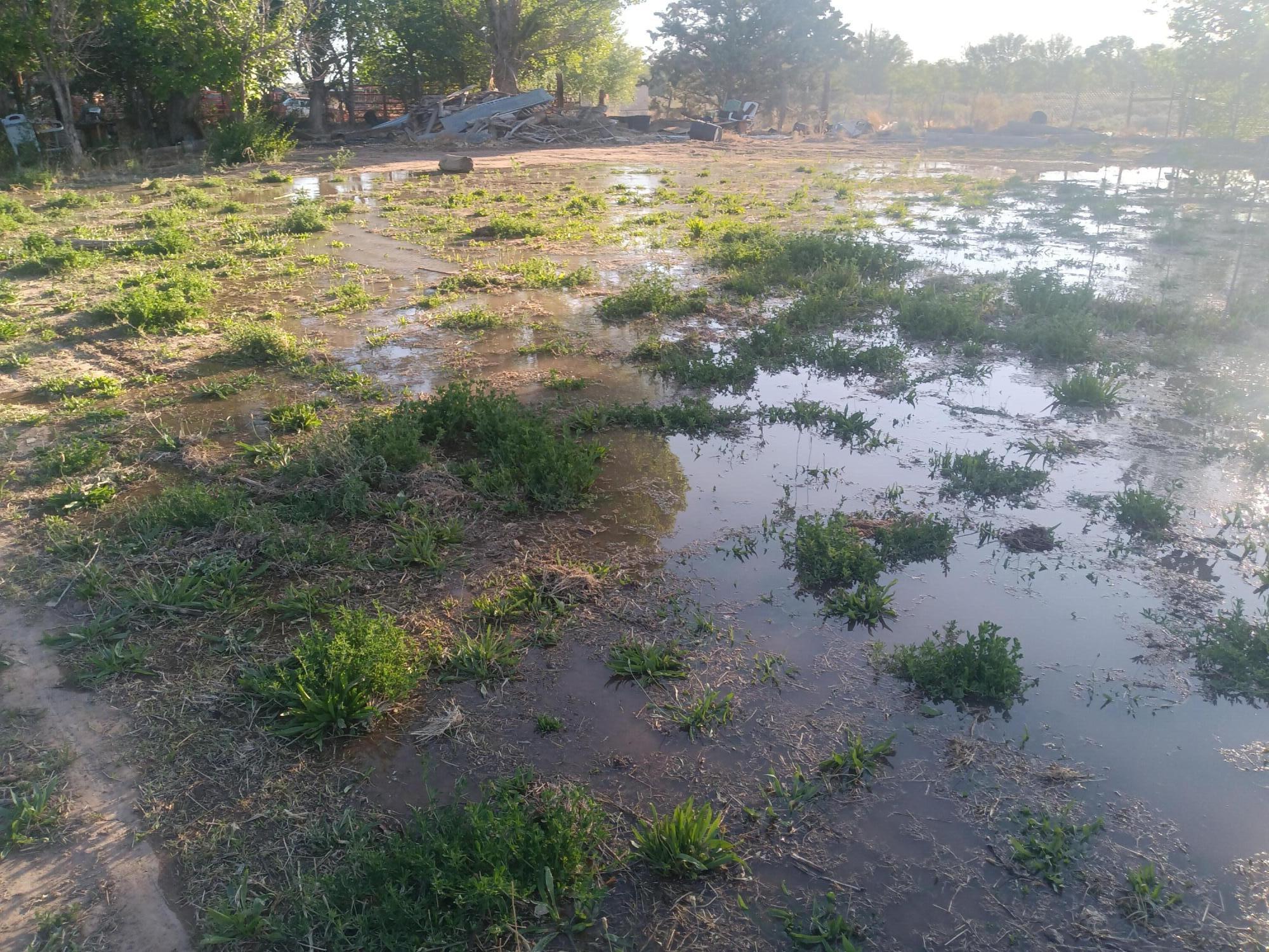 Homes for sale in Belen, NM | 52 Ladera Rd, Belen, NM 87002 | MLS# 1084404