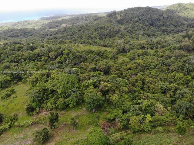 listing main picture