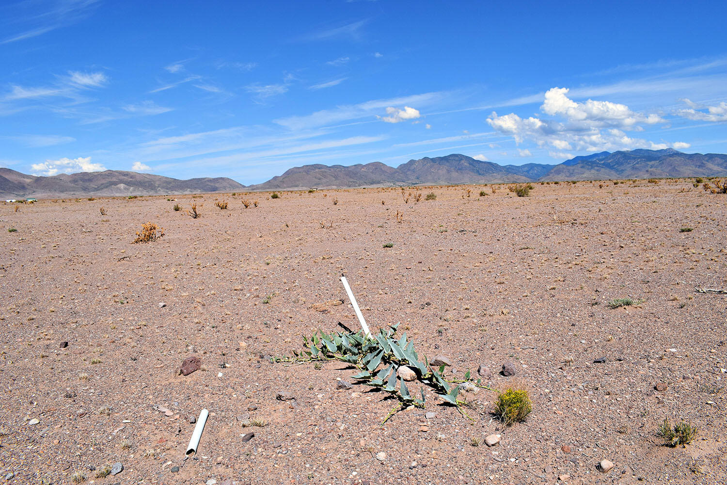 Homes for sale in San Antonio, NM | 4 Lots Rolling Hills, San Antonio, NM 87832 | MLS# 1084507