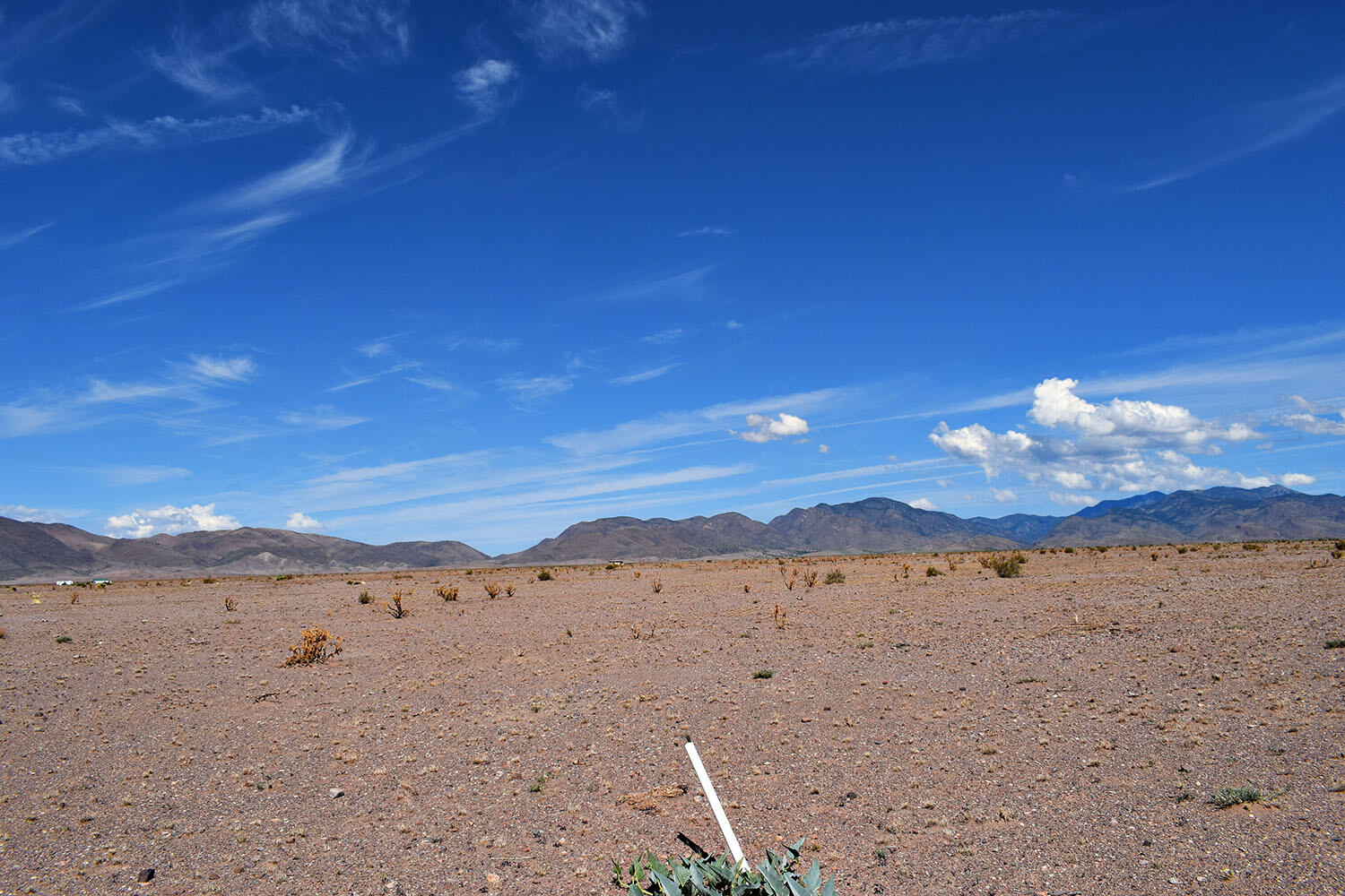 Homes for sale in San Antonio, NM | 4 Lots Rolling Hills, San Antonio, NM 87832 | MLS# 1084507