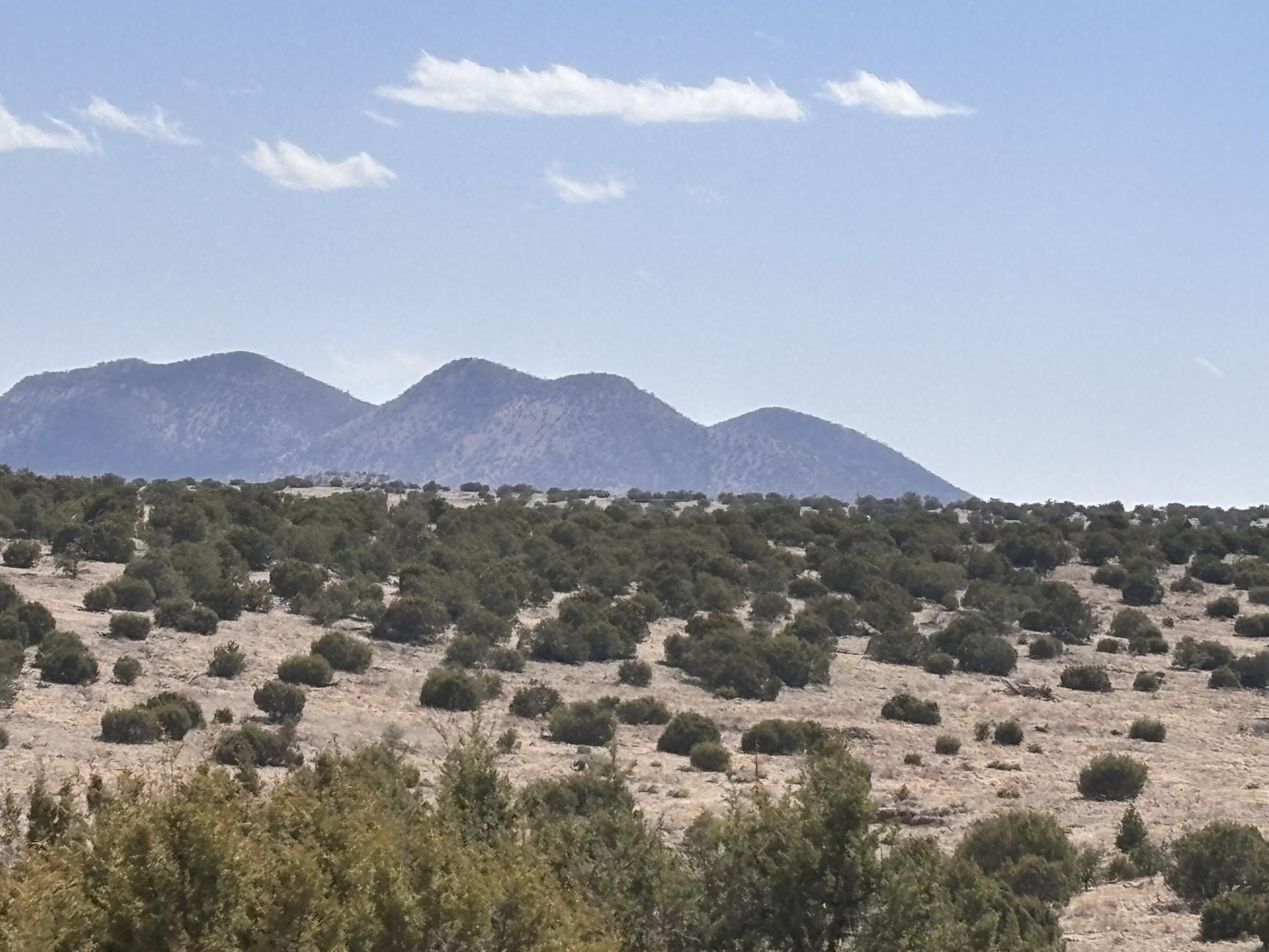 Homes for sale in Magdalena, NM | Lot 173 Pinon Springs Ranch, Magdalena, NM 87825 | MLS# 1084548
