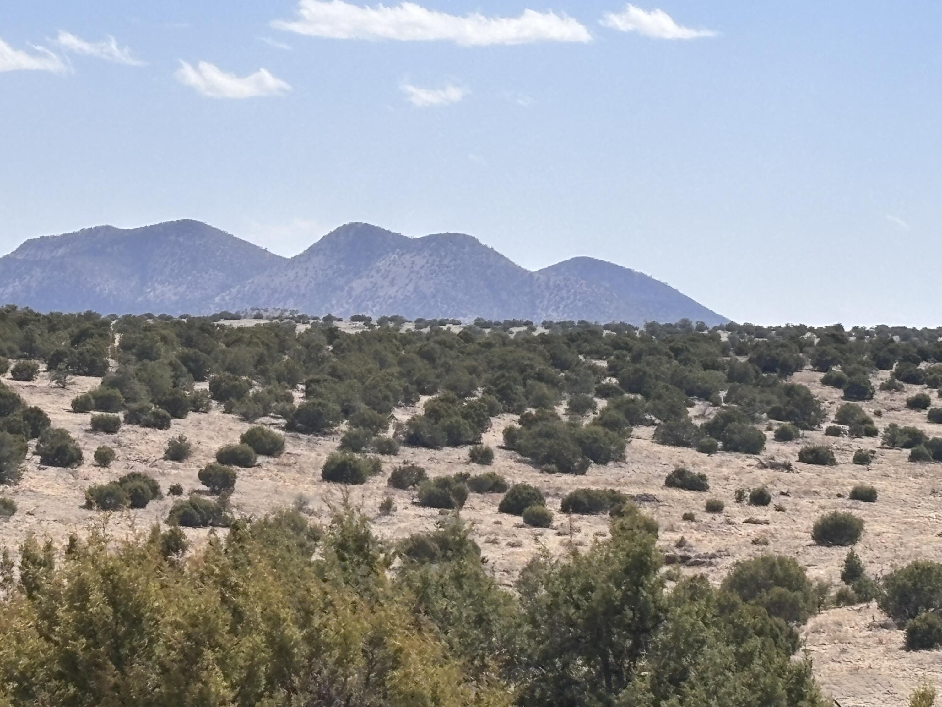 Homes for sale in Magdalena, NM | Lot 173 Pinon Springs Ranch, Magdalena, NM 87825 | MLS# 1084548