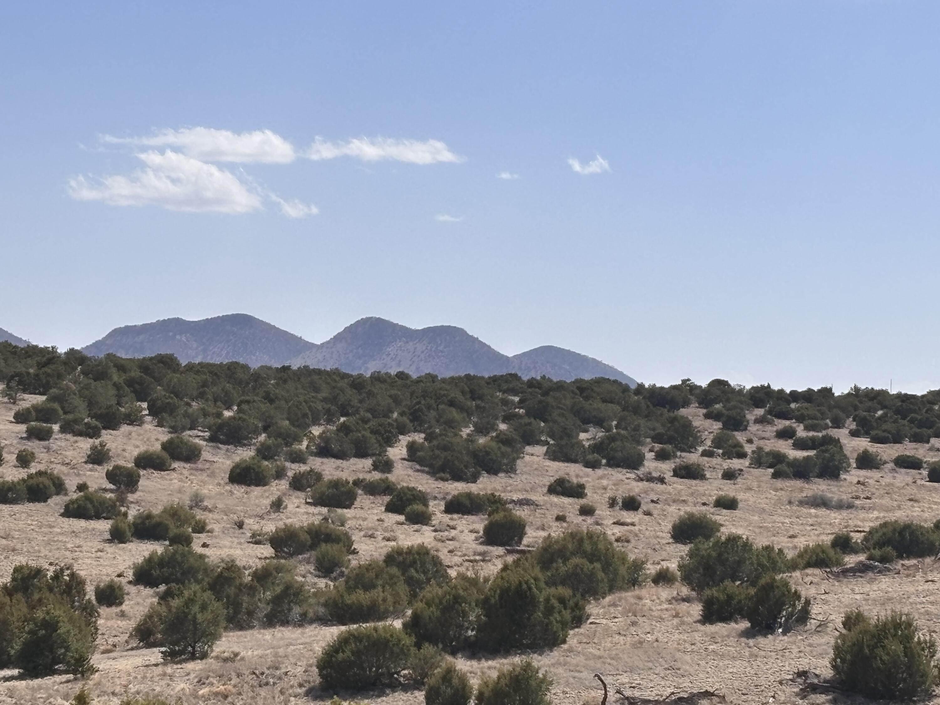 Homes for sale in Magdalena, NM | Lot 173 Pinon Springs Ranch, Magdalena, NM 87825 | MLS# 1084548