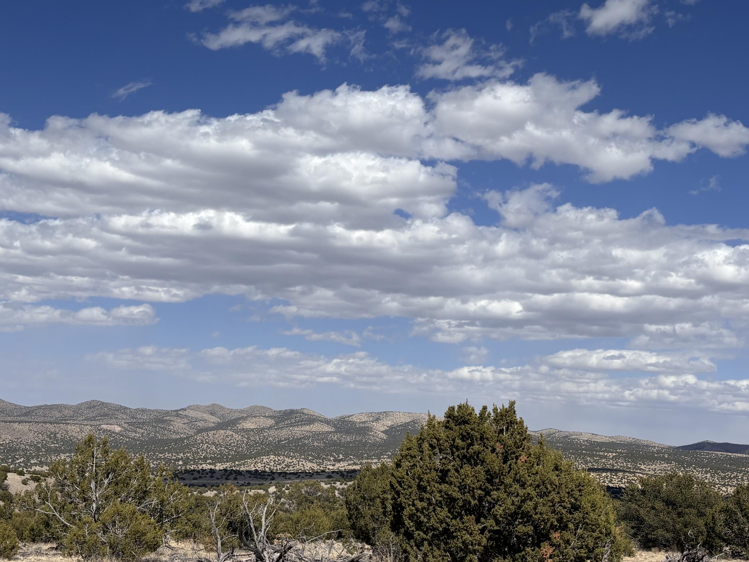 Homes for sale in Magdalena, NM | Lot 173 Pinon Springs Ranch, Magdalena, NM 87825 | MLS# 1084548