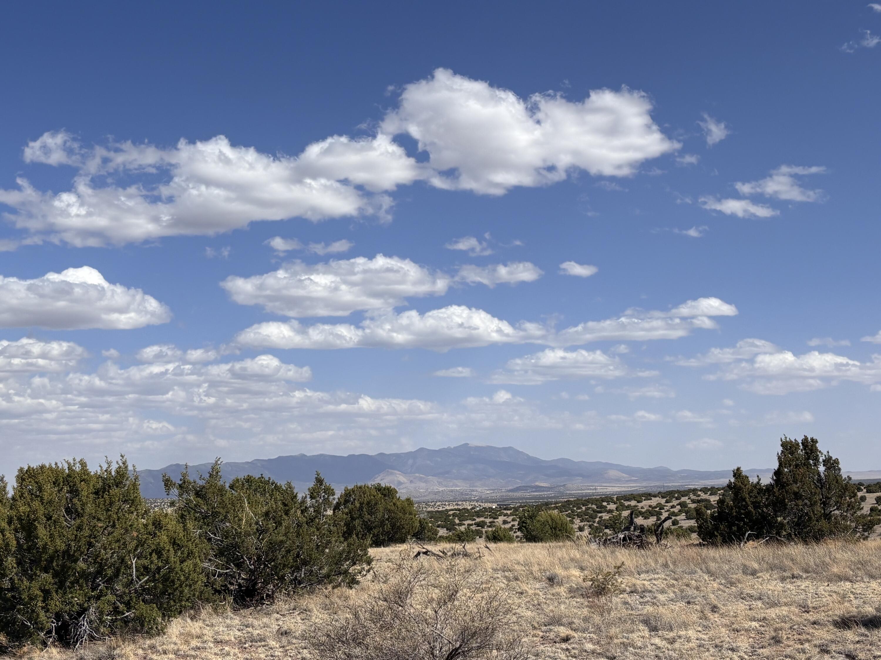 Homes for sale in Magdalena, NM | Lot 173 Pinon Springs Ranch, Magdalena, NM 87825 | MLS# 1084548