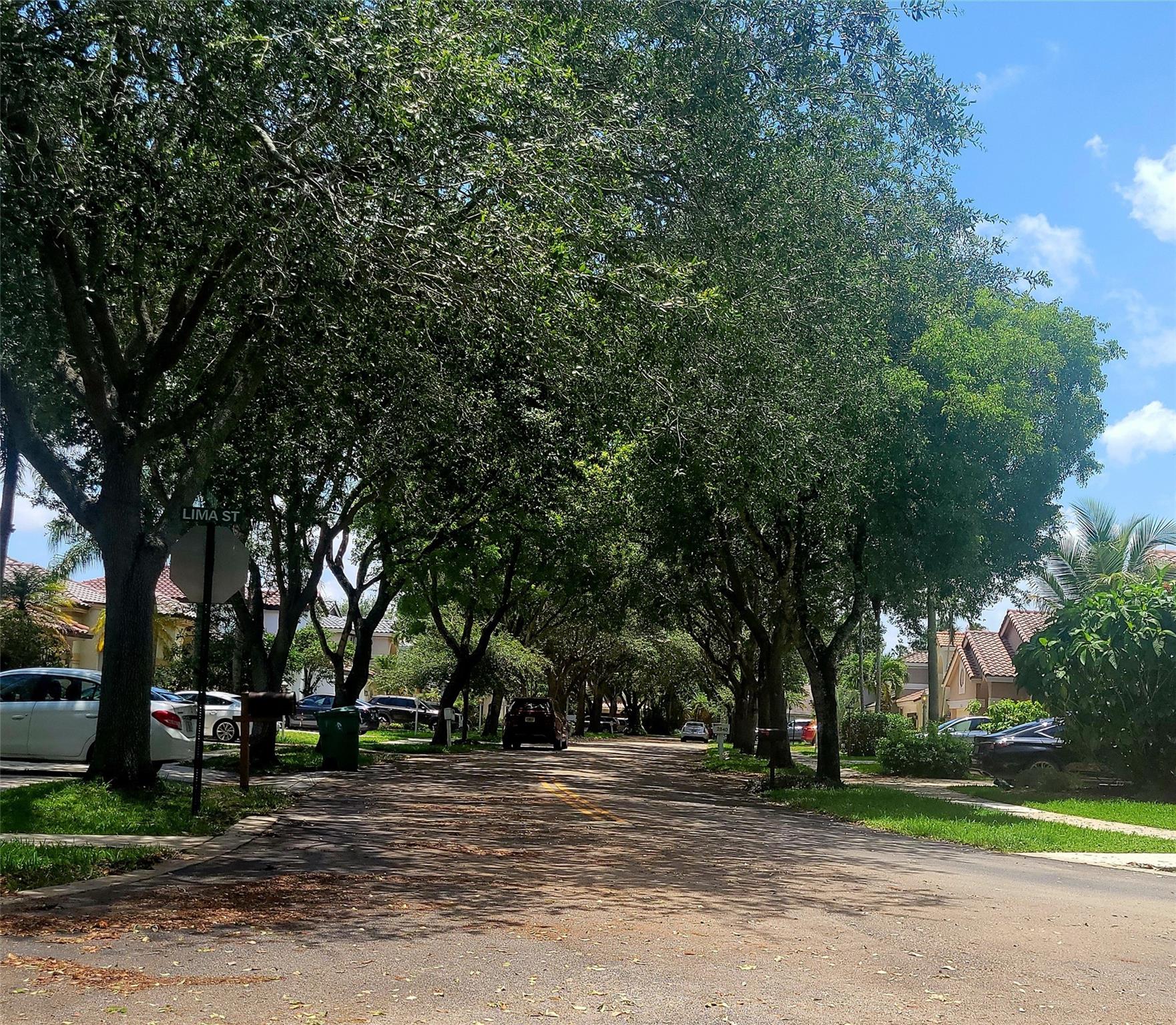 Beautifully Maintained Matured Neighborhood